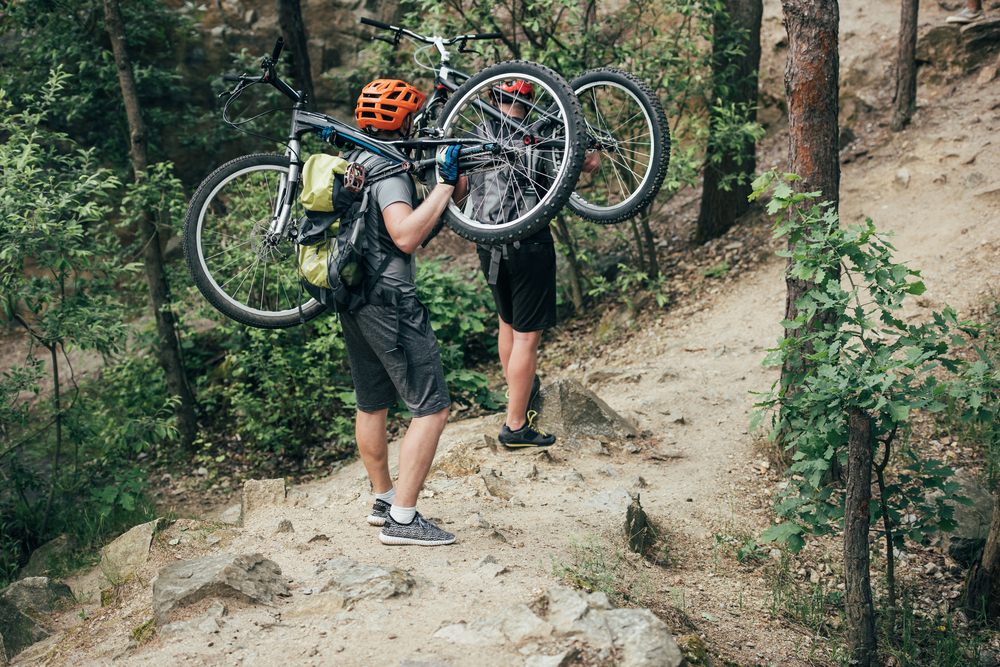 Mountain Bikes Guide: 12 Fascinating Insights Explained